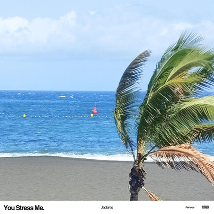 You Stress Me. (Remixes)